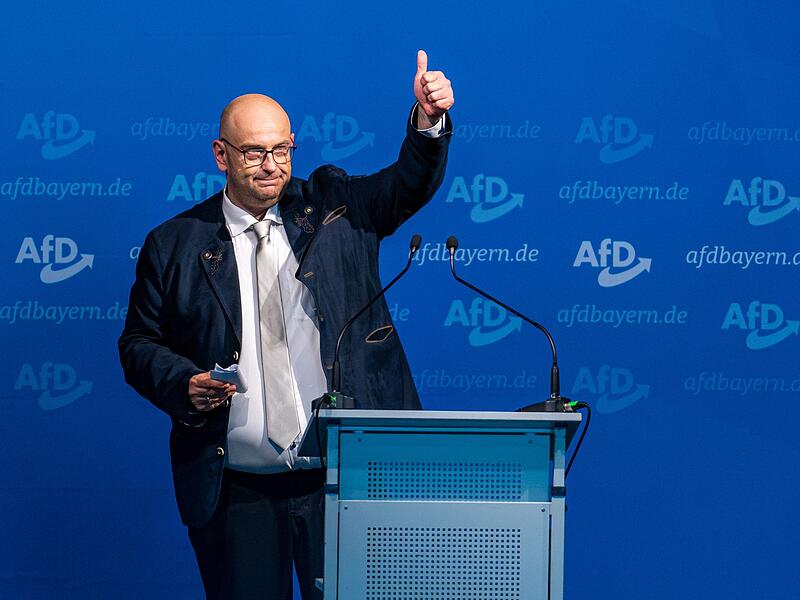 Landesparteitag AfD Bayern