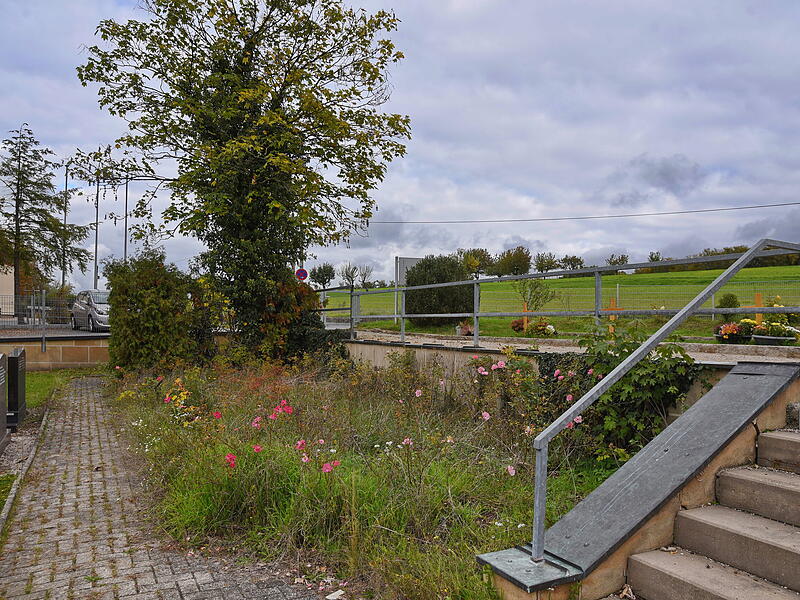 Auf dieser Fläche auf dem Friedhof in Dormitz wird ein neues Urnengrabfeld angelegt. Der Baum am Rand des Friedhofs wird vom Bauhof auf Standfestigkeit geprüft, da er kaputt sein soll.