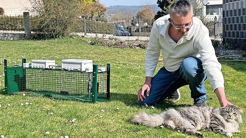 Matthias Jung hat seine Erfindung immer wieder ausprobiert und mit der eigenen XL-Norwegerkatze vor Ort ganz praktisch getestet.