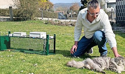 Matthias Jung hat seine Erfindung immer wieder ausprobiert und mit der eigenen XL-Norwegerkatze vor Ort ganz praktisch getestet. Matthias Jung hat seine Erfindung immer wieder ausprobiert und mit der eigenen XL-Norwegerkatze vor Ort ganz praktisch getestet.