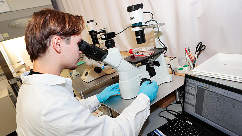 Zellkulturflasche unter dem Mikroskop