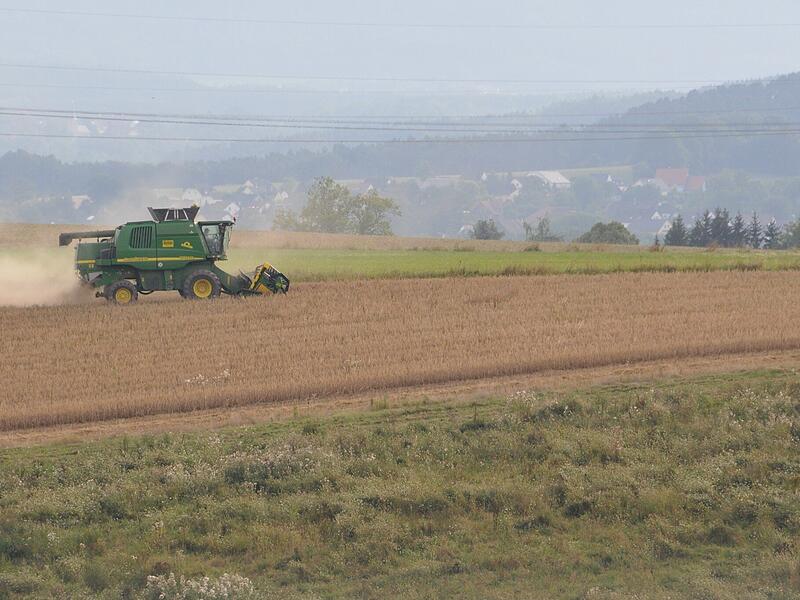In einigen Teilen Oberfrankens hat die Ernte bereits begonnen. Erste Prognosen deuten darauf hin, dass sie von Region zur Region sehr unterschiedlich ausfällt. In einigen Teilen Oberfrankens hat die Ernte bereits begonnen. Erste Prognosen deuten darauf hin, dass sie von Region zur Region sehr unterschiedlich ausfällt.