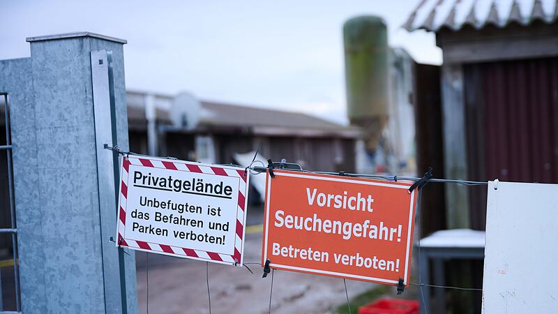 Maul- und Klauenseuche in Brandenburg