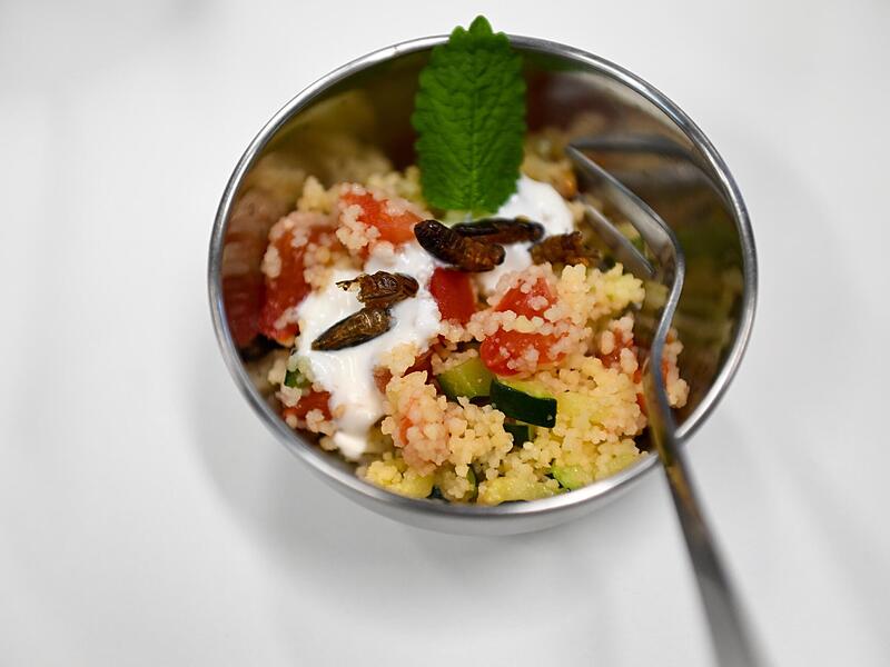 Sind Insekten das Essen von morgen? Grillen auf Couscous gab es am Campus Kulmbach zum Probieren.