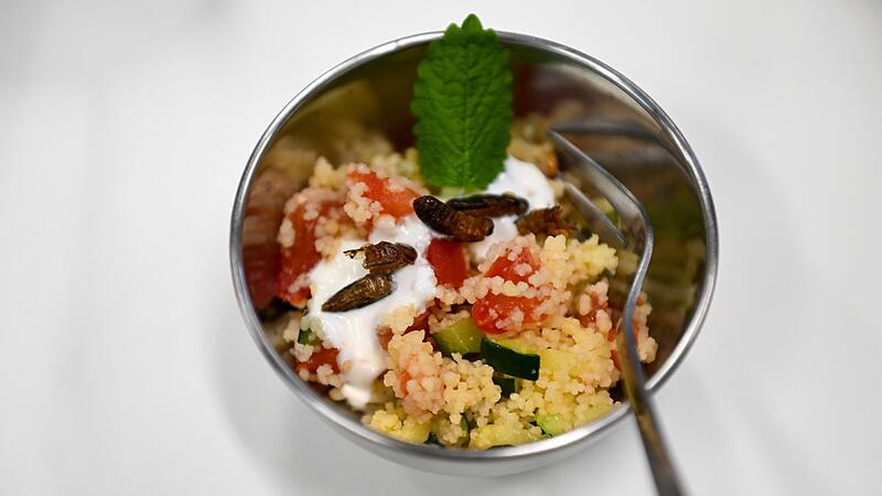 Sind Insekten das Essen von morgen? Grillen auf Couscous gab es am Campus Kulmbach zum Probieren.