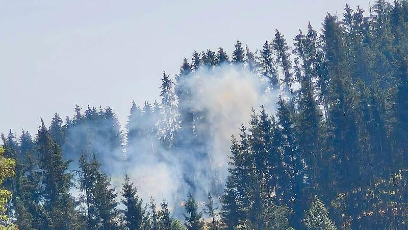 Fl&auml;chenbrand in Ha&szlig;lach bei Teuschnitz
