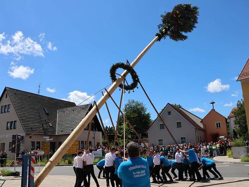 Mit reiner Muskelkraft wird der rund 20 Meter lange Plua-Baum aufgestellt. Mit reiner Muskelkraft wird der rund 20 Meter lange Plua-Baum aufgestellt.