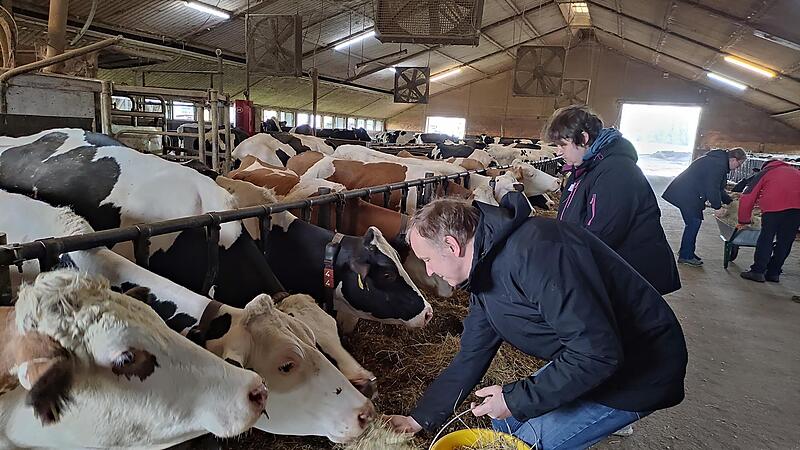 Dass die K&uuml;he gut versorgt sind, daf&uuml;r sorgen Marc Filbry Sandra R&ouml;&szlig;ler. Den K&uuml;hen schmeckt es.