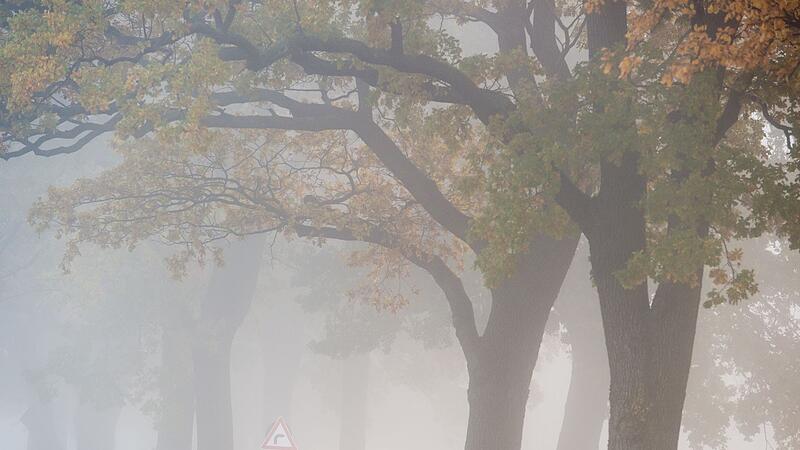 Auto fährt bei Nebel auf einer Landstraße