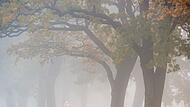 Auto fährt bei Nebel auf einer Landstraße