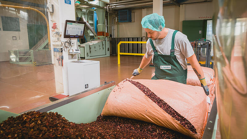 Bei Martin Bauer in Vestenbergsgreuth werden unter anderem getrocknete Fr&uuml;chte verarbeitet, etwa f&uuml;r Teemischungen oder f&uuml;r pflanzliche Extrakte, die von der Lebens- und von der Arzneimittelindustrie ben&ouml;tigt werden.