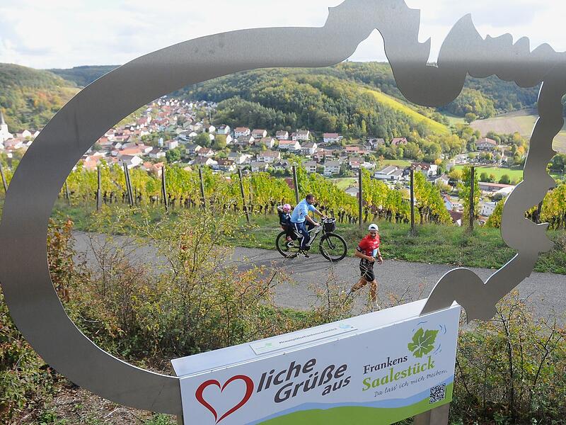 Bildergalerie vom Weinberglauf