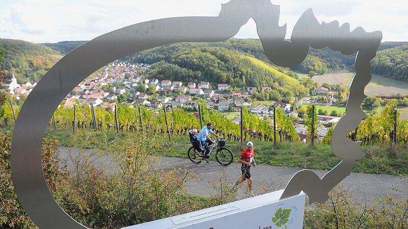 Bildergalerie vom Weinberglauf Bildergalerie vom Weinberglauf