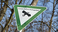 Bisher gibt es in der Stadt Forchheim drei Landschaftsschutzgebiete (wie hier im Kellerwald). Dies soll sich &auml;ndern.