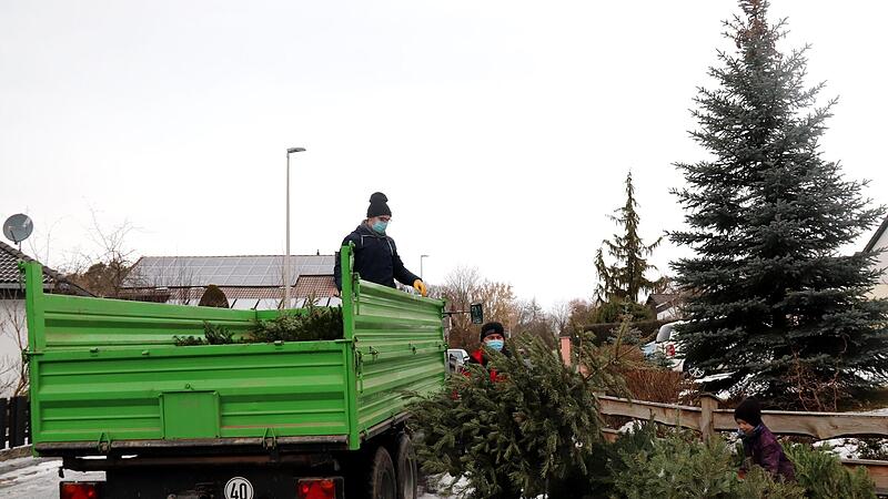 Mit Mundschutz war im vergangenen Jahr die Junge Union Adelsdorf unterwegs und sammelte die Christb&auml;ume ein.