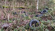 Die Altreifen sind einem Waldstück bei Neustadt bei Coburg verteilt.