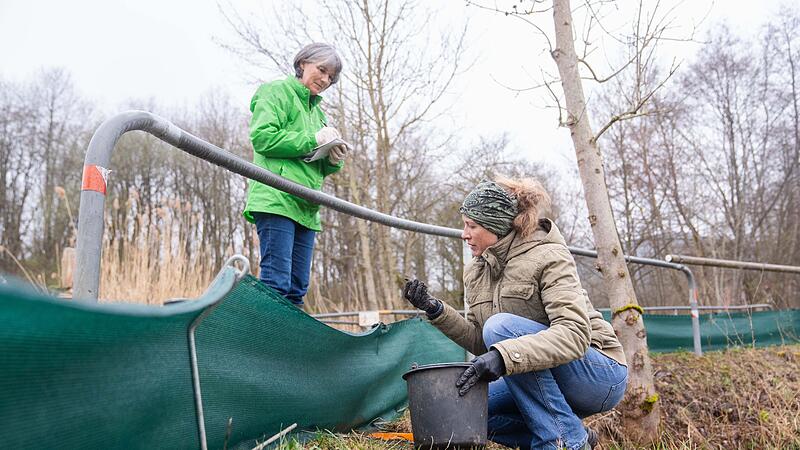 Klimawandel setzt Bayerns Amphibien zu