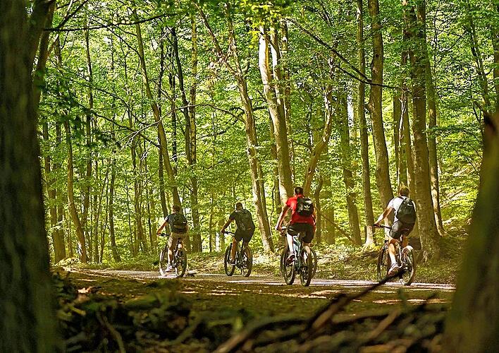 Radfahren wird immer beliebter. Symbolfoto