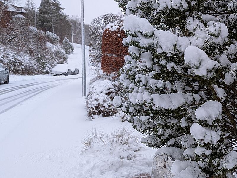 Schnee in Bad Br&uuml;ckenau: Bis zum Morgen des 2. Januars hat es &uuml;ber 10 Zentimeter Neuschnee gegeben.