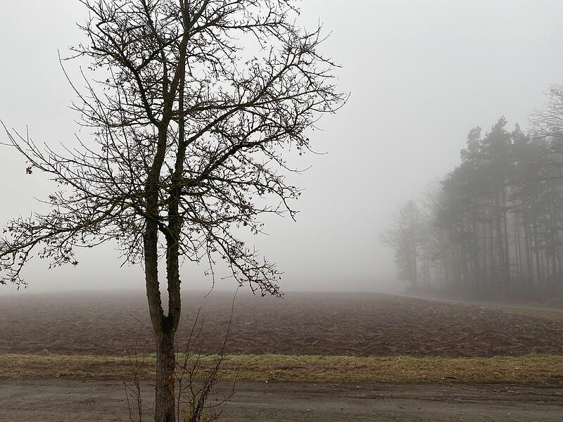 Umstellung auf Winterzeit: Worauf wir uns in Coburg freuen