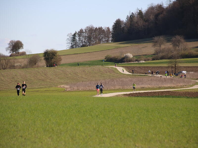 Strahlender Sonnenschein, aber nur niedrige Plusgrade erwartete die L&auml;ufer beim 19. Obermain-Marathon rund um Bad Staffelstein. Die Marathon-Strecke f&uuml;hrte wieder an den beiden Wahrzeichen der Kurstadt, dem Kloster Banz und der Basilika Vierzehnheiligen vorbei.