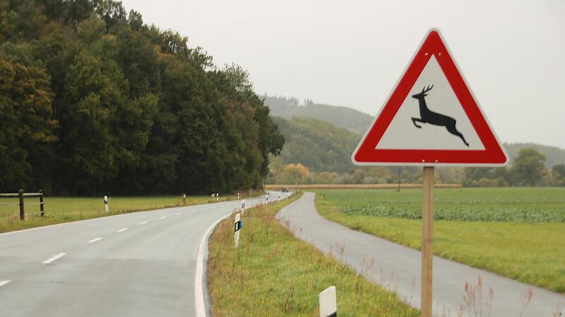 In Herbst und Winter nutzen Wildtiere die Dunkelheit, um vom Wald auf die Felder zu wechseln. Das f&uuml;hrt an etlichen Stellen zu einem h&ouml;heren Unfallrisiko f&uuml;r Kraftfahrer. Die J&auml;ger kennen diese Orte im Kreis Lichtenfels.