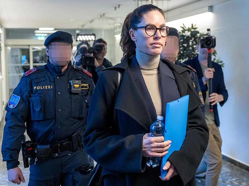 Zweiter Prozess gegen den Ex-Immobilientycoon Benko Zweiter Prozess gegen den Ex-Immobilientycoon Benko