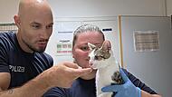 Bamberg: Katze an Bahnhof ausgesetzt - Polizei k&uuml;mmert sich liebevoll