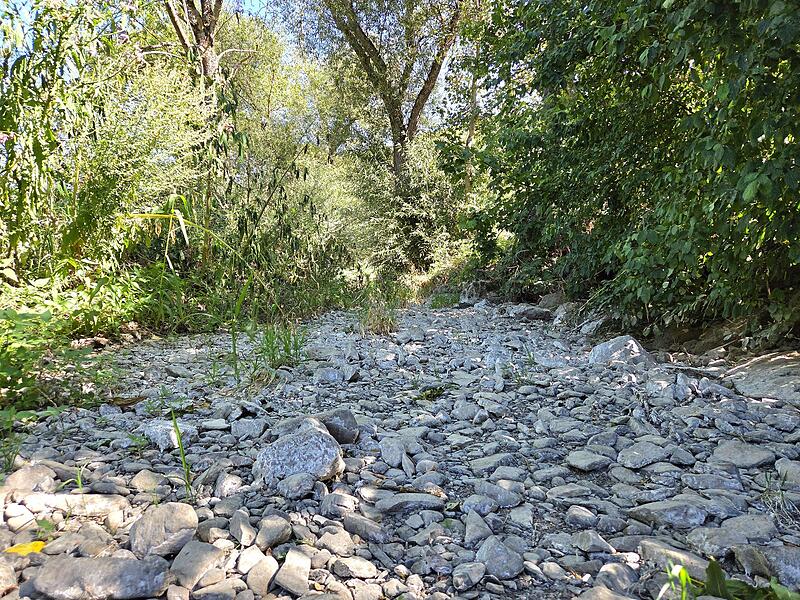 Trockenheit Die Zaubach im Stadtsteinacher Ortsteil Oberzaubach ist vollständig ausgetrocknet.