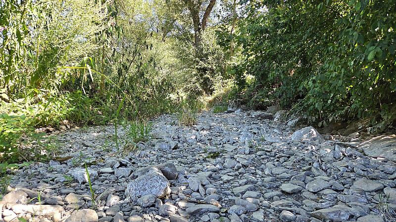 Trockenheit Die Zaubach im Stadtsteinacher Ortsteil Oberzaubach ist vollständig ausgetrocknet.