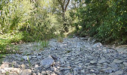Die Zaubach im Stadtsteinacher Ortsteil Oberzaubach ist vollst&auml;ndig ausgetrocknet.