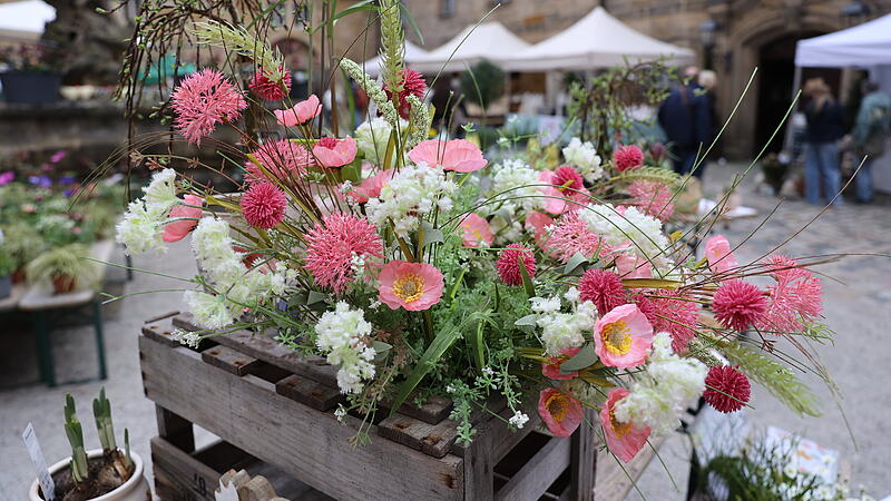 Lenzrosenmarkt Thurnau 2026Lenzrosenmarkt in Thurau begeistert