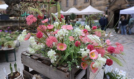 Lenzrosenmarkt Thurnau 2026Lenzrosenmarkt in Thurau begeistert