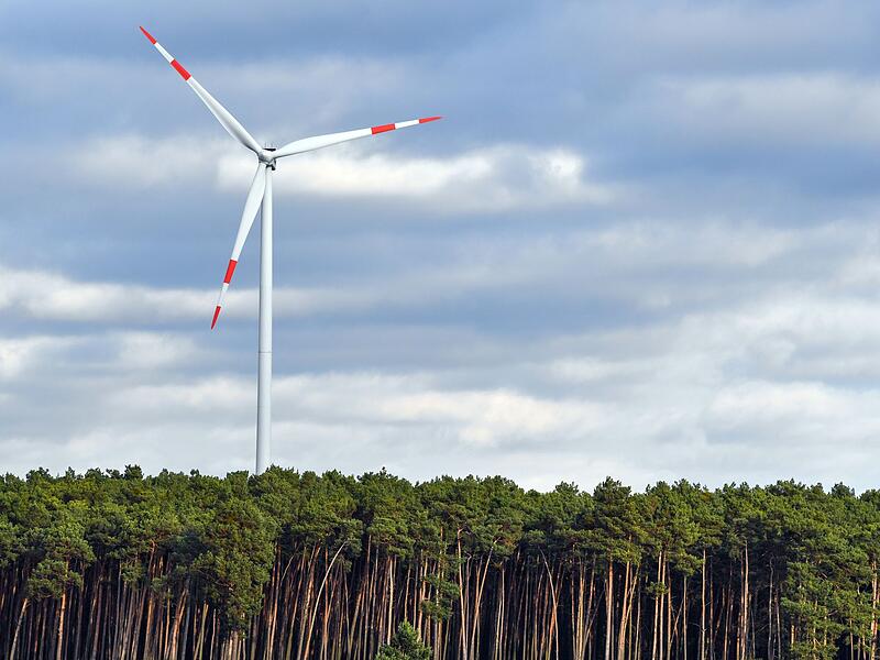 Windrad im Wald