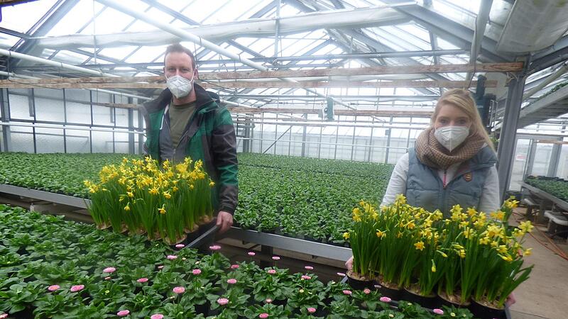 Die beiden Jungunternehmer Anna-Lena Wiedow und David Schrüfer im  Blumenmeer der Gärtnerei Schrüfer. Die Gärtnermeister fürchten, dass sie ihre  Frühlingspflanzen wegwerfen müssen.Forchheim & Fränkische Schweiz