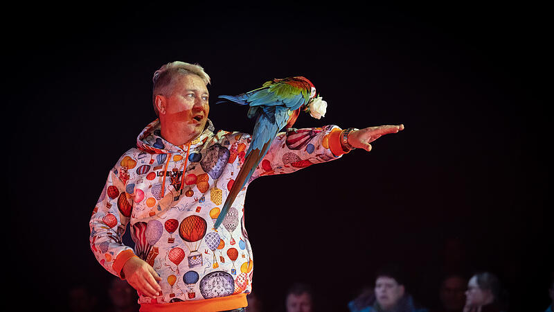 Mit Papageien &ndash; hier im Circus Krone in W&uuml;rzburg &ndash; hat Hubert Fella Erfahrung. Ob&rsquo;s im Dschungel helfen wird?