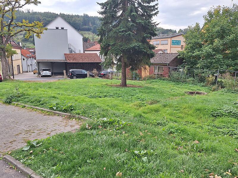 Zuschüsse für Umweltprojekte und Label in Bad Brückenau Zuschüsse für Umweltprojekte und Label in Bad Brückenau