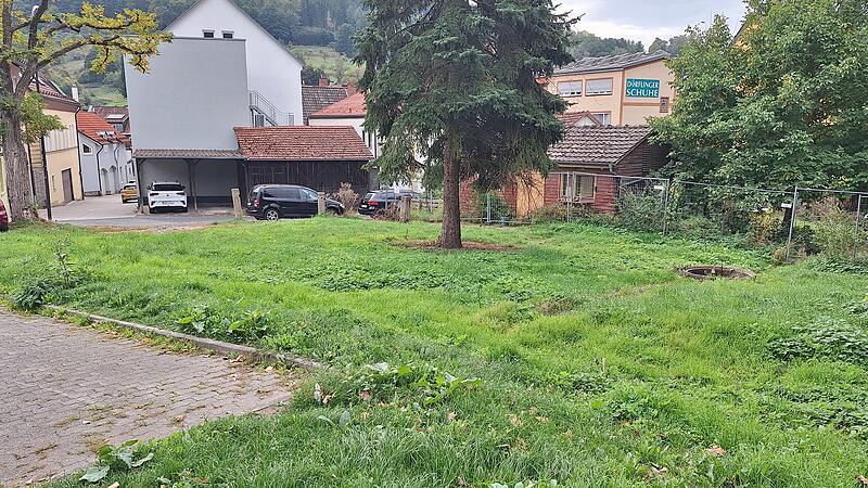 Zusch&uuml;sse f&uuml;r Umweltprojekte und Label in Bad Br&uuml;ckenau