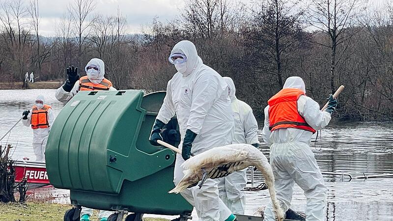 Badesee Rudufer in Michelau von verendeten Wassergefl&uuml;gel ges&auml;ubert