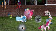 Windspiel Windspiel