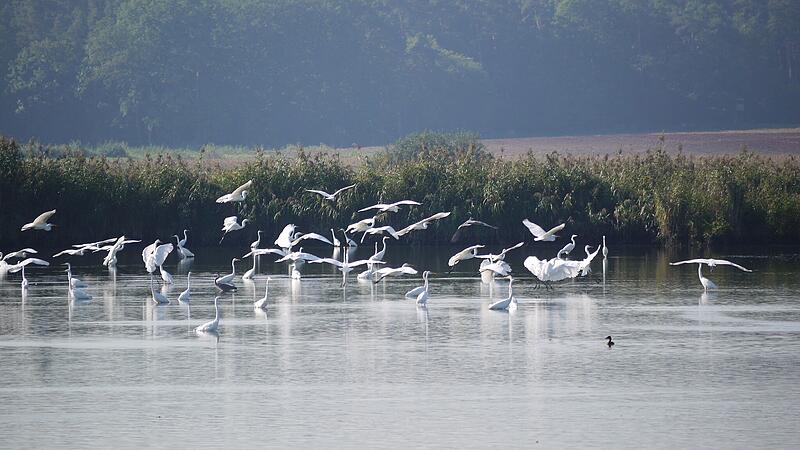 Weiher in Erlnangen-H&ouml;chstadtBamberg