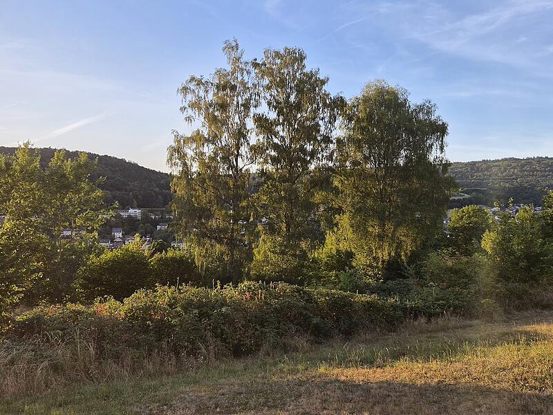 Die Stadt Bad Br&uuml;ckenau gegen 20 Uhr im Schatten