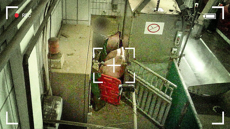 Heimliche Videoaufnahmen von der Schweinebet&auml;ubung im Kulmbacher Schlachthof hatten f&uuml;r Entsetzen gesorgt.
