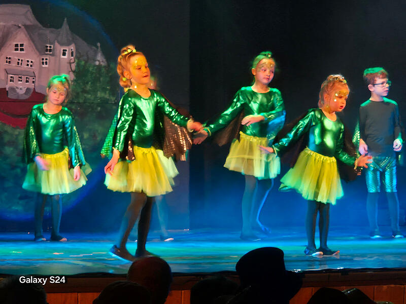 Die sch&ouml;nsten Bilder vom Ma&szlig;bacher Fasching