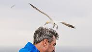 Bayerns Ministerpräsident Söder auf Helgoland