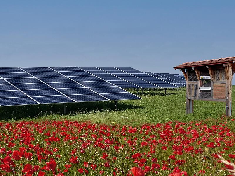 SÜDWERK - Nachhaltigkeit und Natur miteinander vereinen SÜDWERK - Nachhaltigkeit und Natur miteinander vereinen