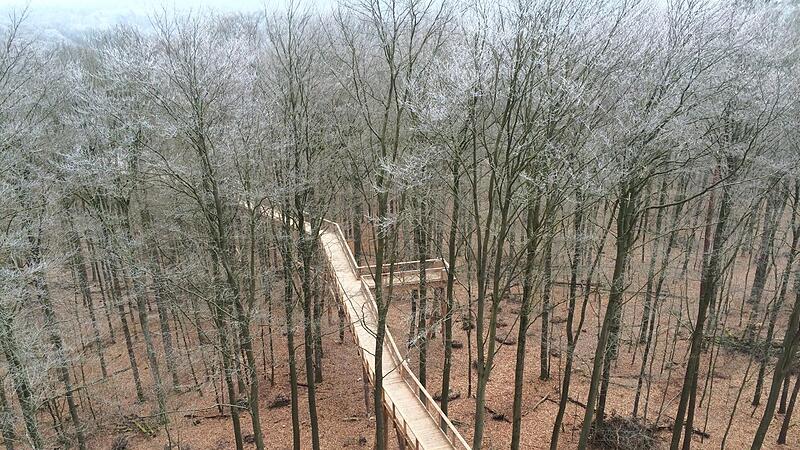 Die Ampelkoalition will einen Einschlagstopp in alten öffentlichen Buchenwälder. Der Idee eines Nationalparks im Steigerwald verleiht das neuen Auftrieb.