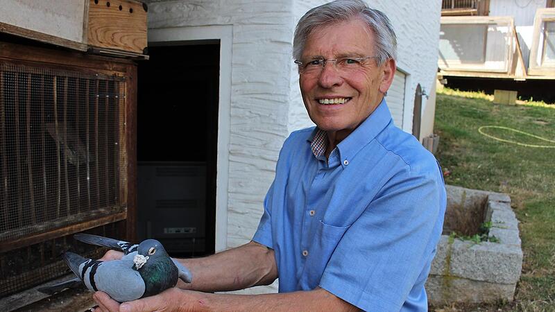 Der Z&uuml;chter Alfons Zeiler l&auml;sst seinem 22 Jahre alten &bdquo;Pr&auml;lat" die beste Pflege angedeihen.