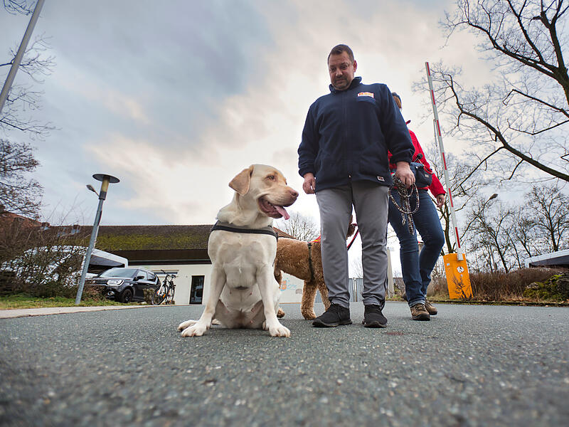 Hundesteuer im Landkreis ForchheimForchheim & Fränkische Schweiz Labradordame Lizzy mit Herrchen Armin Eimerich aus Neunkirchen am Brand