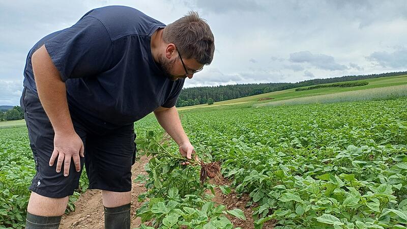Daniel Ka&szlig;el Windischenhaig